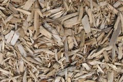 biomass boilers Slackcote
